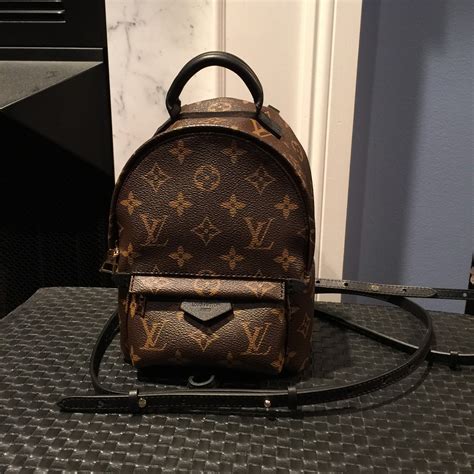 louis vuitton palm springs bag|Louis Vuitton backpack mini price.